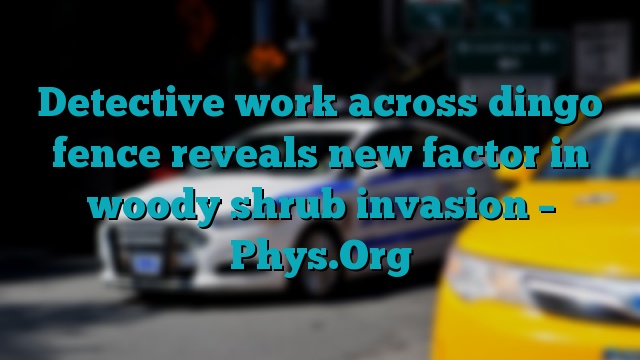 Detective work across dingo fence reveals new factor in woody shrub invasion – Phys.Org