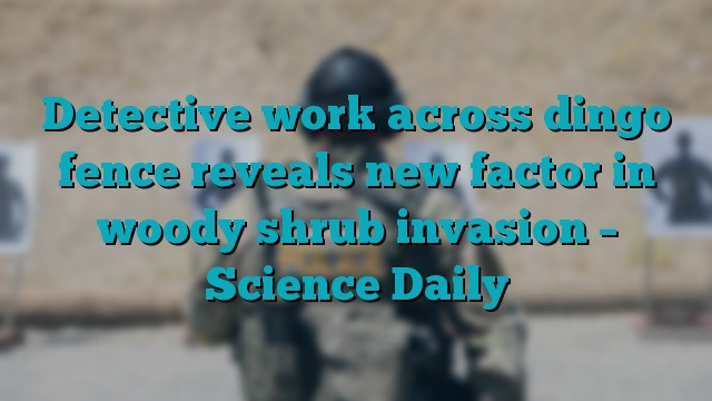 Detective work across dingo fence reveals new factor in woody shrub invasion – Science Daily