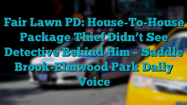 Fair Lawn PD: House-To-House Package Thief Didn’t See Detective Behind Him – Saddle Brook-Elmwood Park Daily Voice