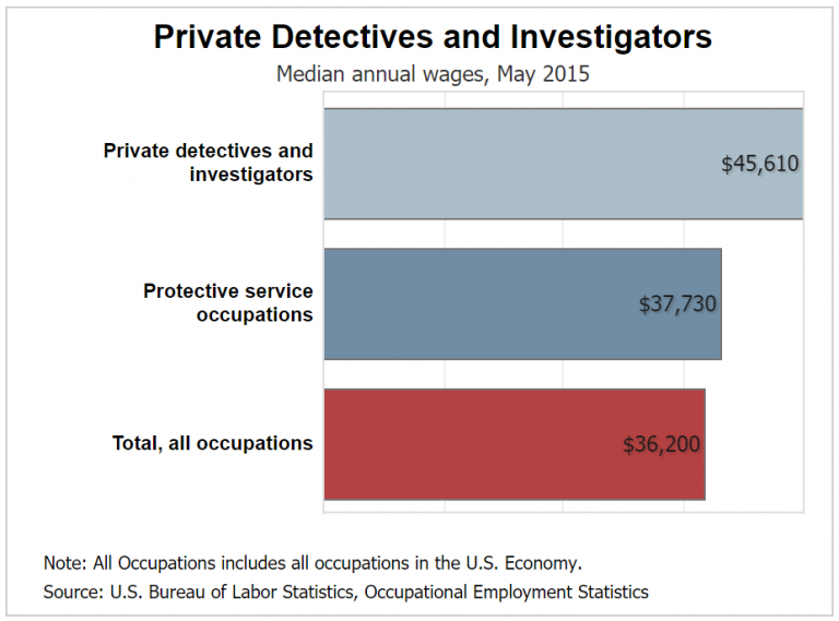 How Much Does A Detective Make Detective Education how-much-does-a-detective-make-detective-education