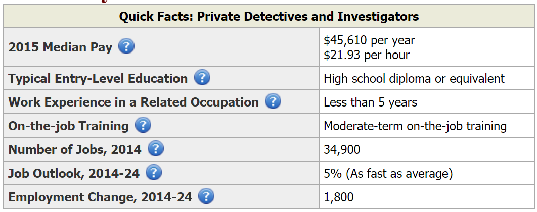 Private detective career summary